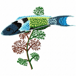Fishes Embroidery Design 3 Fishes Embroidery Design 3